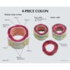 Colon con Patologías 4 piezas - Imagen 3