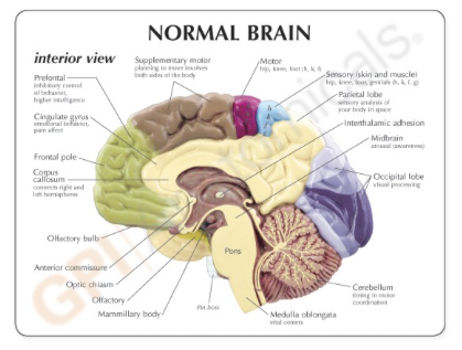 Captura de pantalla 2019-06-21 a la(s) 20.54.51
