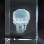 MEDart™ Bloque de Vidrio Cráneo
