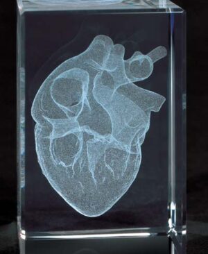 MEDart™ Bloque de Vidrio Corazón