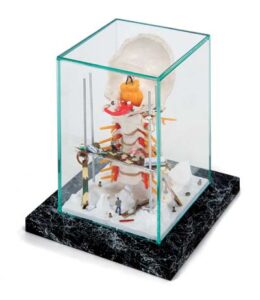 Vitrina "Columna cervical"