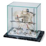 Vitrina "Pelvis"