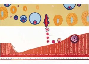 Ciclo Menstrual e Implatación de óvulos