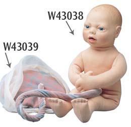 Placenta y cordón umbilical