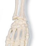 Llavero de Argolla de Mano