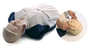 Torso RCP Resusci Anne