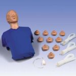 Torso para resucitación cardiopulmonar