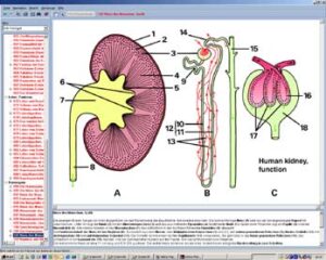 CD con imágenes microscópicas para la serie formativa C