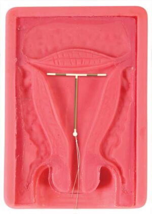 Instructor de D.I.U.