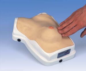 Pecho para prácticas clínicas