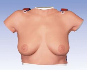 Modelo para la palpación de mama para colgar