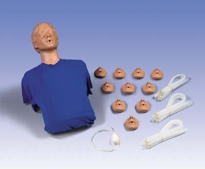 Torso para resucitación cardiopulmonar Torso para resucitación cardiopulmonar