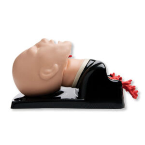 Modelo avanzado AirSim Avance