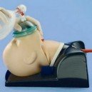 Modelo AirSim Advanced con incisivos rompibles