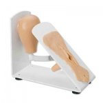 Maniquí para cateterización femenina