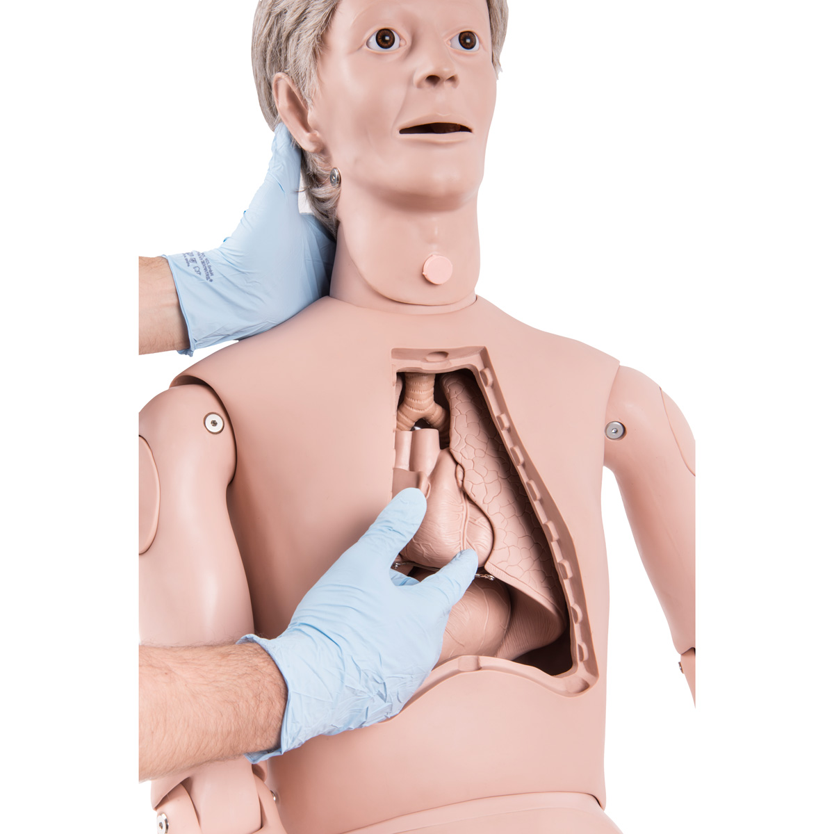 P11-1_03_1200_1200_3B-Scientific-Simulador-para-Cuidado-del-Paciente-II