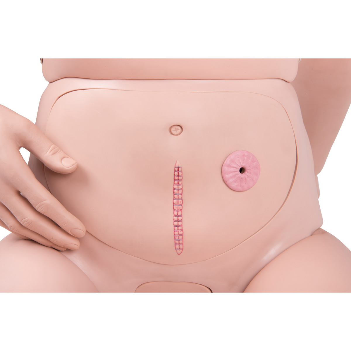P11-1_05_1200_1200_3B-Scientific-Simulador-para-Cuidado-del-Paciente-II