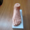 Modelo del pie para acupuntura - Imagen 2