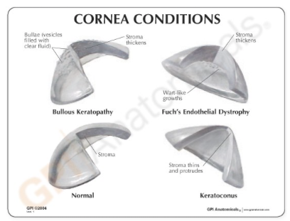 Captura de pantalla 2019-06-21 a la(s) 20.10.17