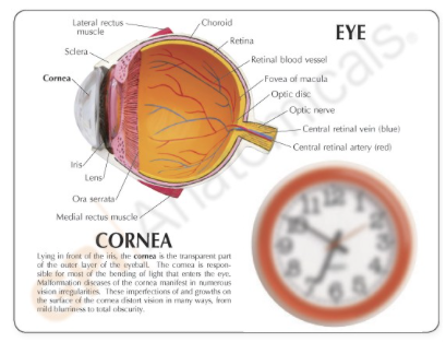 Captura de pantalla 2019-06-21 a la(s) 20.10.26