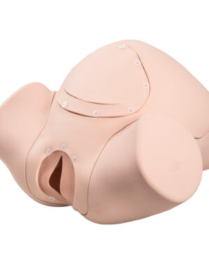 Simulador de parto BASIC P90 de 3B Scientific