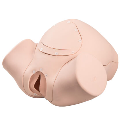 Simulador de parto BASIC P90 de 3B Scientific
