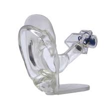 Modelo transparente de oído