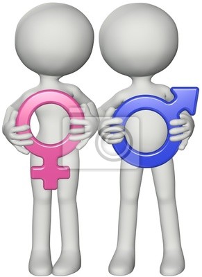 Educación Sexual