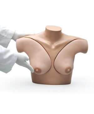 Simulador de autoexamen de pechos