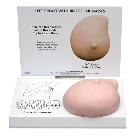 breast-cancer-model-1