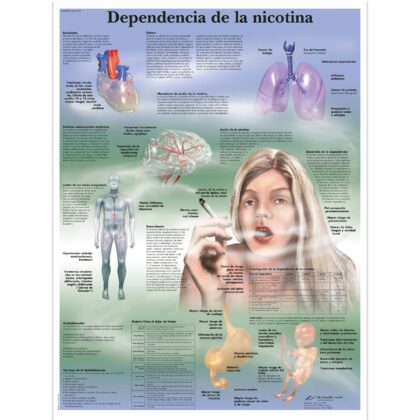 Dependencia de la nicotina Lámina