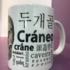 Taza Craneo - Imagen 3