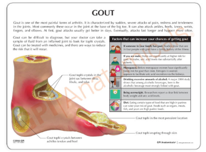 Captura de pantalla 2019-06-21 a la(s) 14.26.38