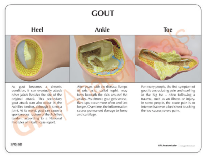 Captura de pantalla 2019-06-21 a la(s) 14.26.47