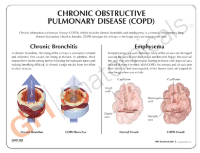 Captura de pantalla 2019-06-22 a la(s) 13.35.57