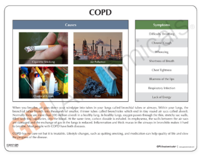 Captura de pantalla 2019-06-22 a la(s) 13.35.49