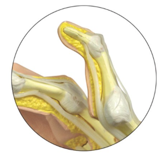 Captura de pantalla 2019-06-21 a la(s) 14.13.52