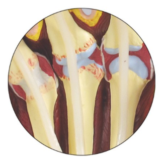 Captura de pantalla 2019-06-21 a la(s) 14.13.45