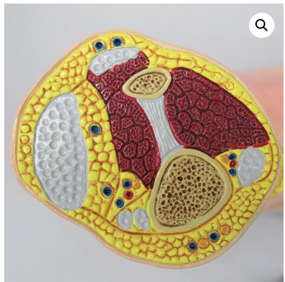 Captura de pantalla 2019-06-21 a la(s) 14.27.09