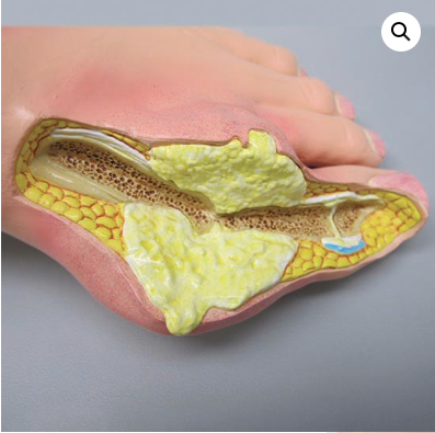 Captura de pantalla 2019-06-21 a la(s) 14.27.18