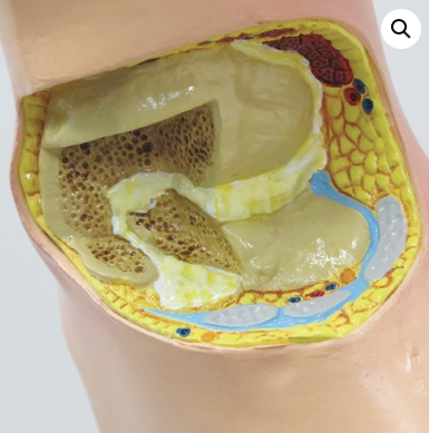 Captura de pantalla 2019-06-21 a la(s) 14.27.29