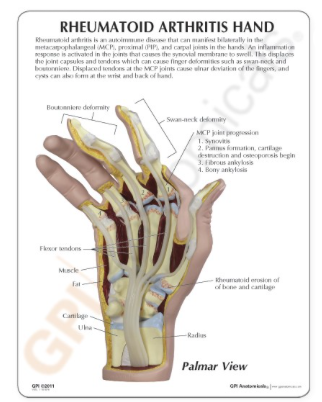 Captura de pantalla 2019-06-21 a la(s) 14.14.00