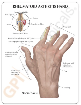 Captura de pantalla 2019-06-21 a la(s) 14.14.09