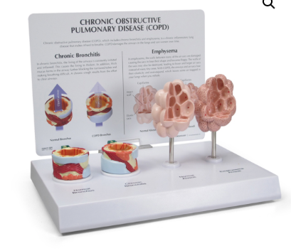 Captura de pantalla 2019-06-22 a la(s) 13.35.41