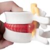 Simulador Vertebral