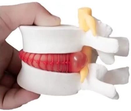 Simulador Vertebral