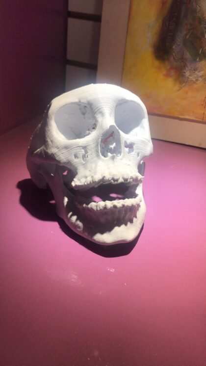 Impresión 3D Modelos Anatómicos - Imagen 8