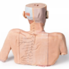 Cabeza, Cuello y con Angiosomas - Imagen 7
