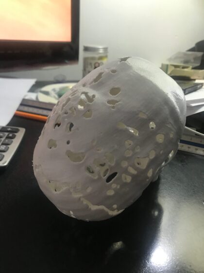 Impresión 3D Modelos Anatómicos - Imagen 7