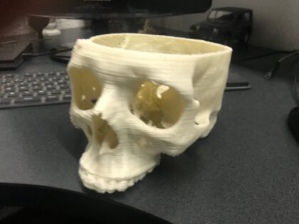 Impresión 3D Modelos Anatómicos - Imagen 5